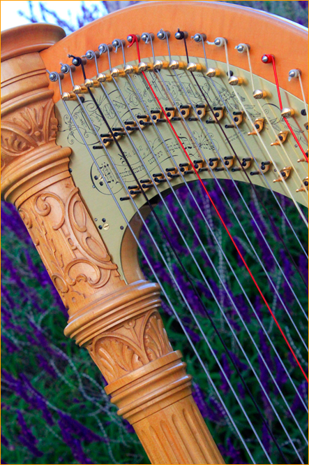 harp
